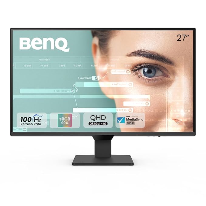 BenQ Monitor